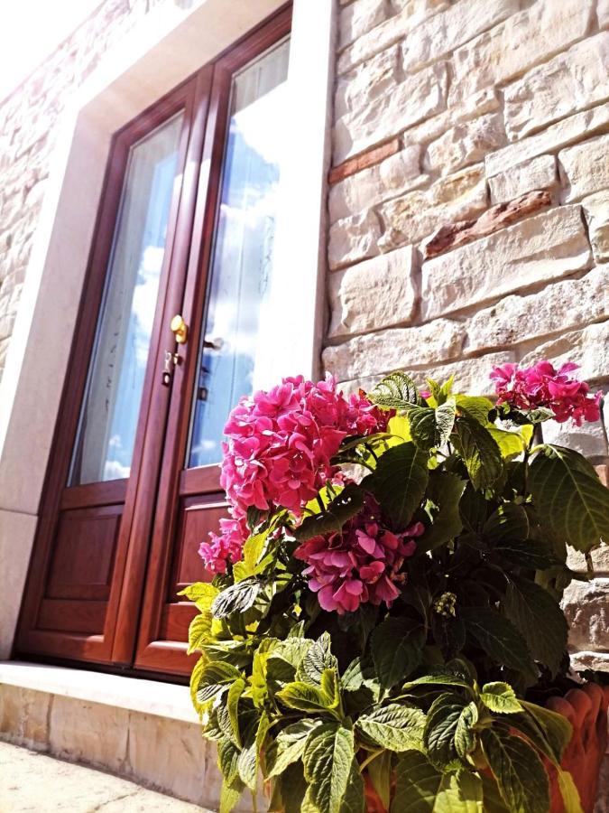 Farm stay Agriturismo Casale Cerere *