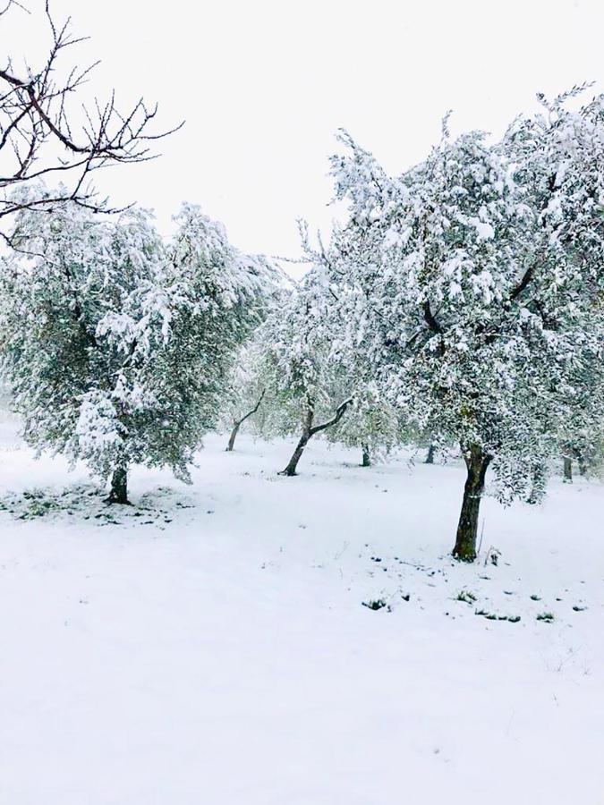 Farm stay Agriturismo Casale Cerere Lacedonia